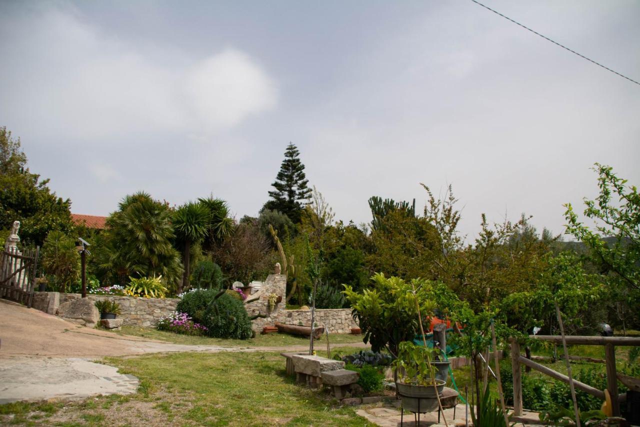 B&B Il Giardino Arbus Εξωτερικό φωτογραφία